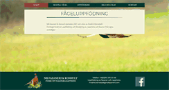 Desktop Screenshot of nbfasaneri.com
